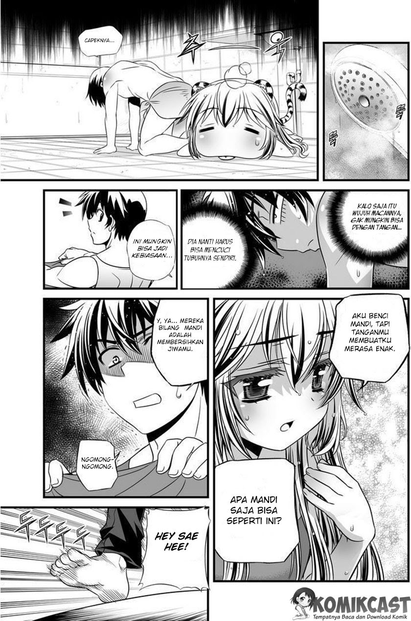 My Love Tiger chapter 07 halaman 12