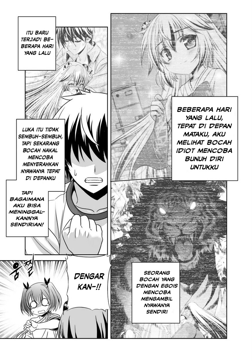 My Love Tiger Bab 34 halaman 6