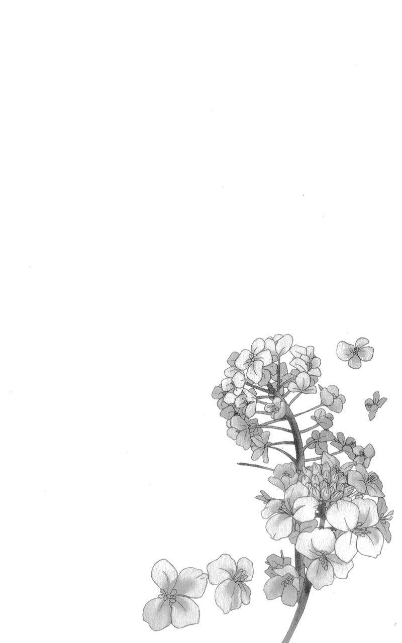 Nanoka no Kare chapter 4 halaman 6