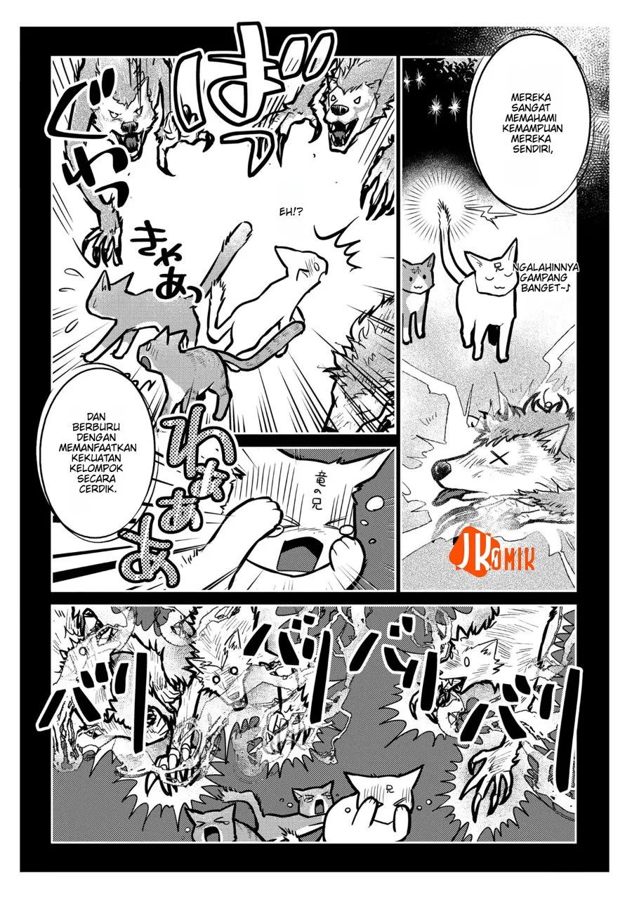 Neko to Ryuu Bab 11 halaman 16