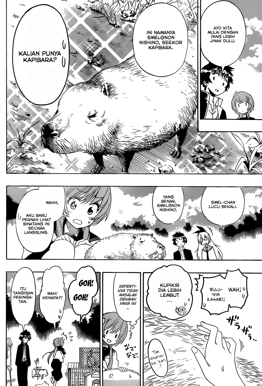 Nisekoi chapter 142 halaman 6