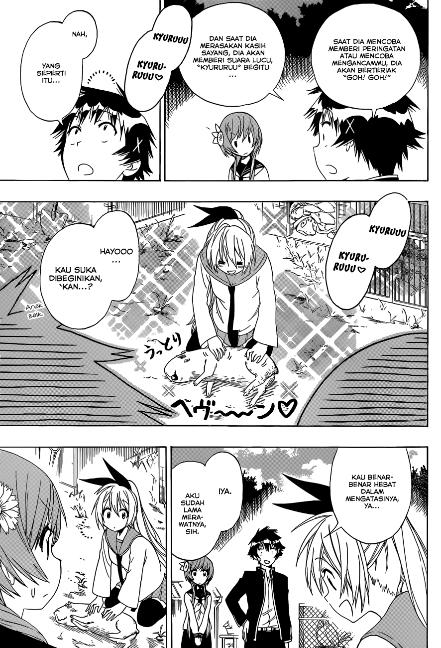 Nisekoi chapter 142 halaman 7