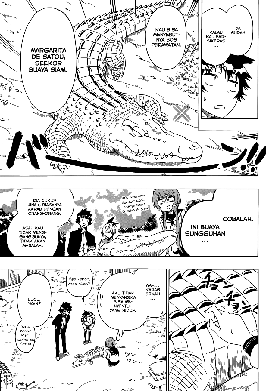 Nisekoi chapter 142 halaman 11
