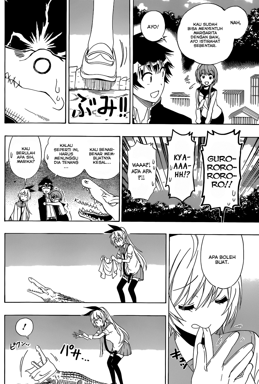 Nisekoi chapter 142 halaman 12
