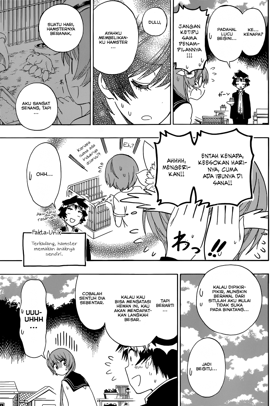 Nisekoi chapter 142 halaman 15