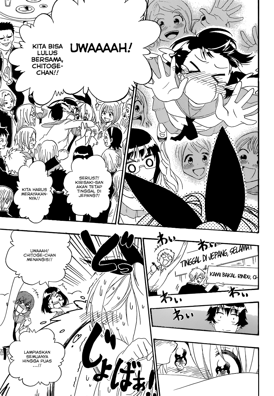 Nisekoi Bab 162 halaman 11