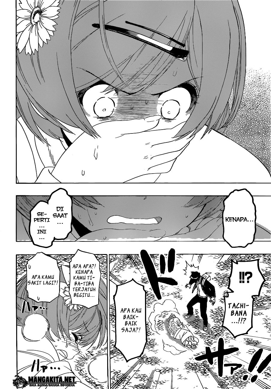 Nisekoi Bab 181 halaman 6