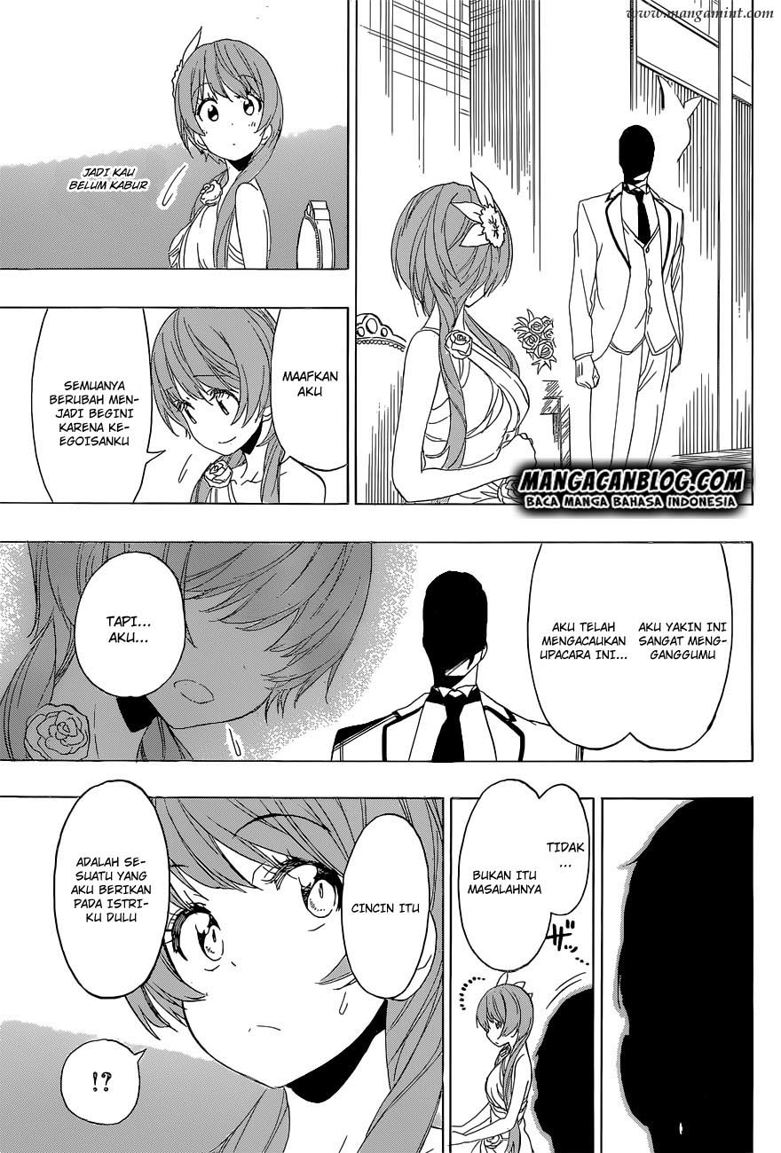 Nisekoi chapter 191 halaman 13