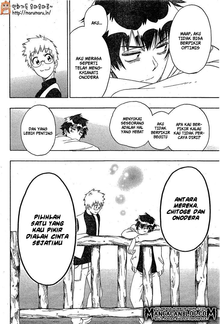 Nisekoi chapter 200 halaman 15