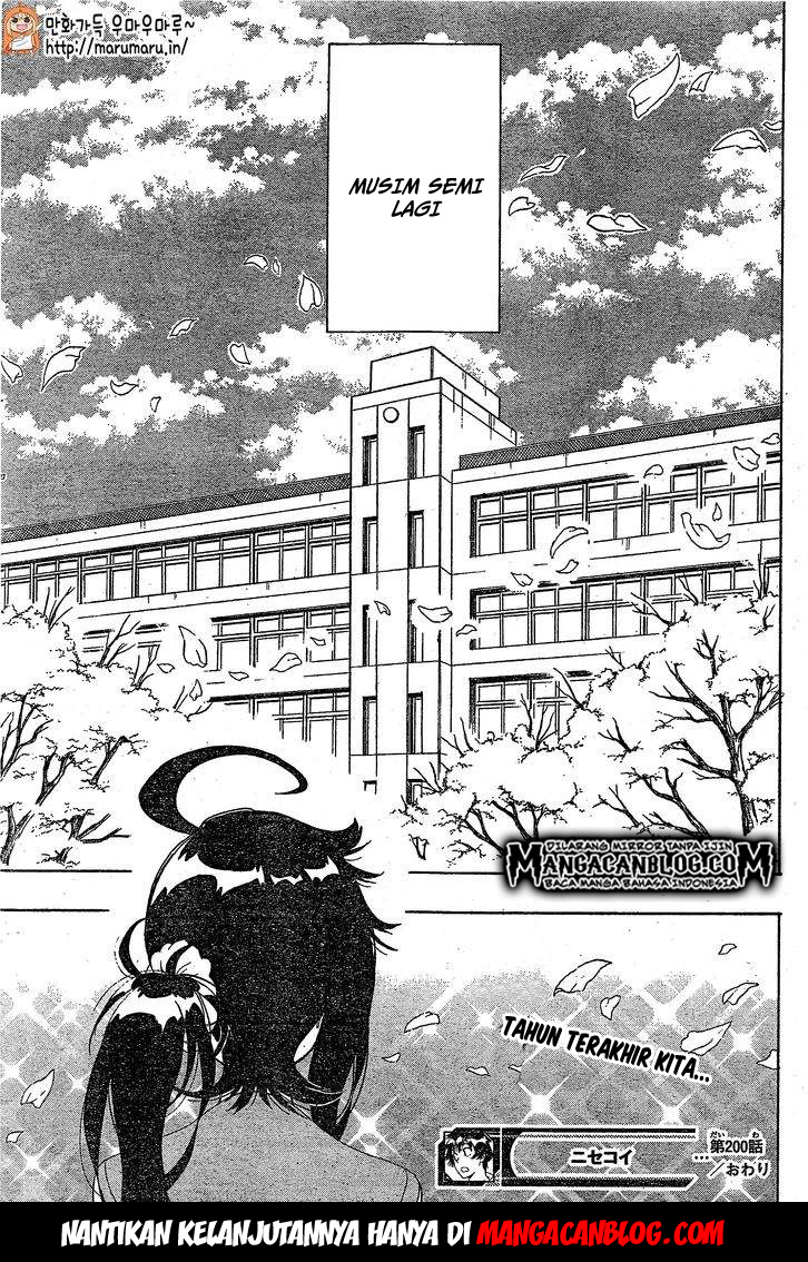 Nisekoi chapter 200 halaman 18