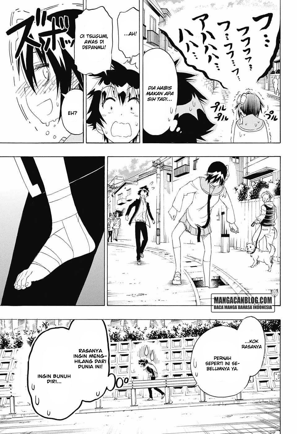 Nisekoi chapter 205 halaman 11