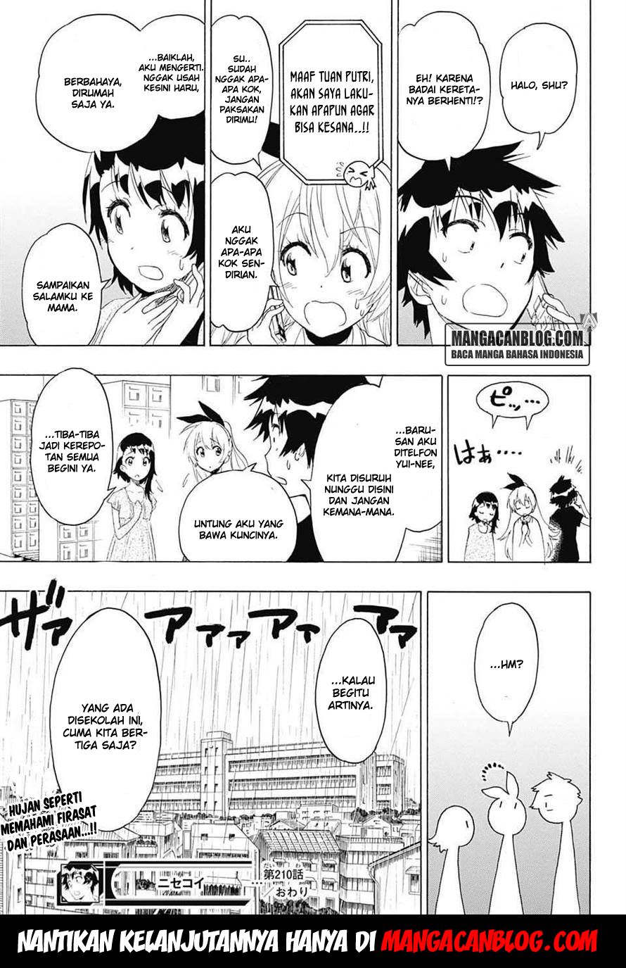 Nisekoi chapter 210 halaman 20