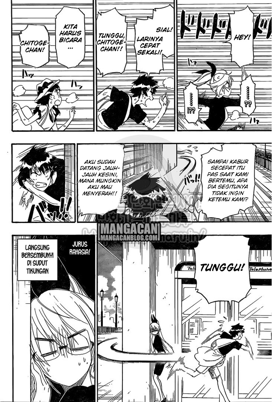 Nisekoi Bab 215 halaman 13