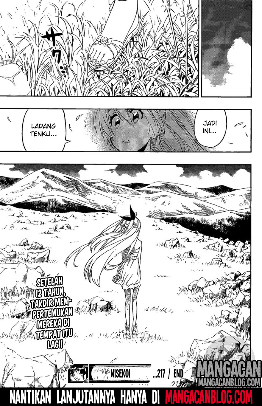 Nisekoi Bab 217 halaman 19
