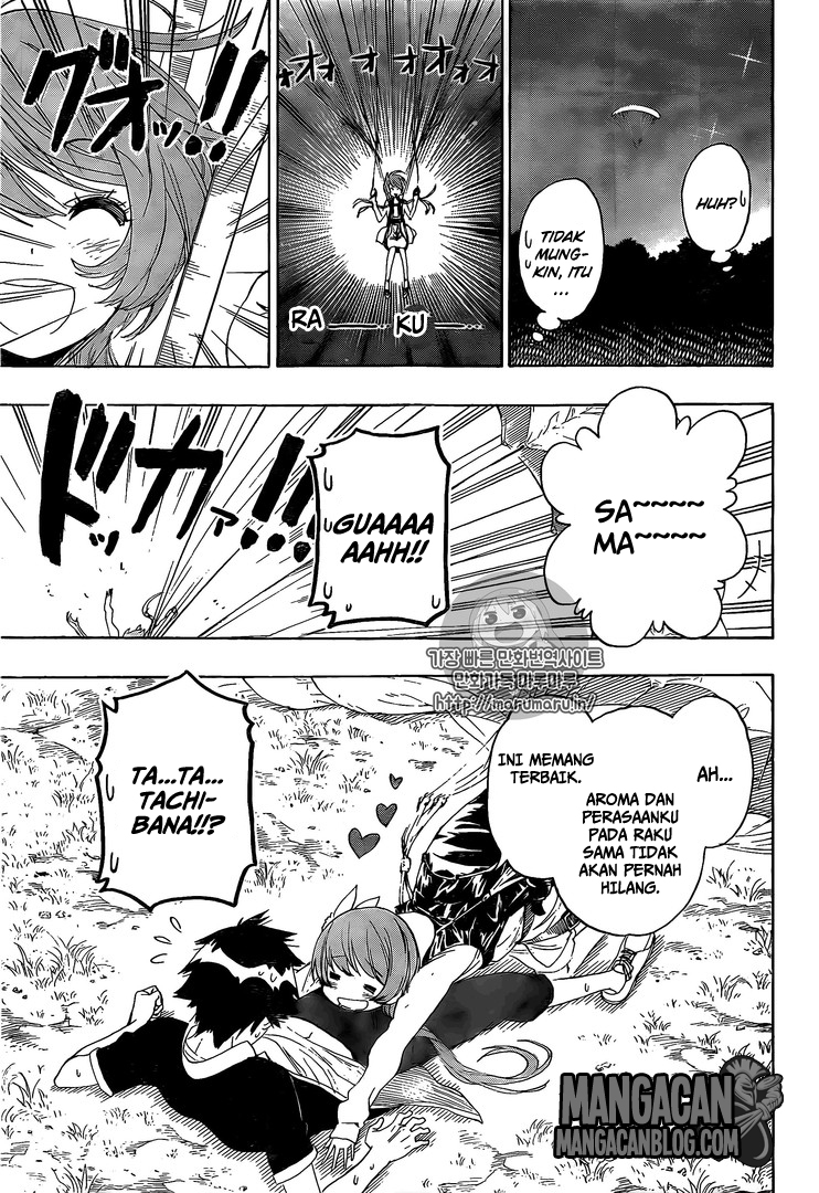 Nisekoi chapter 219 halaman 11