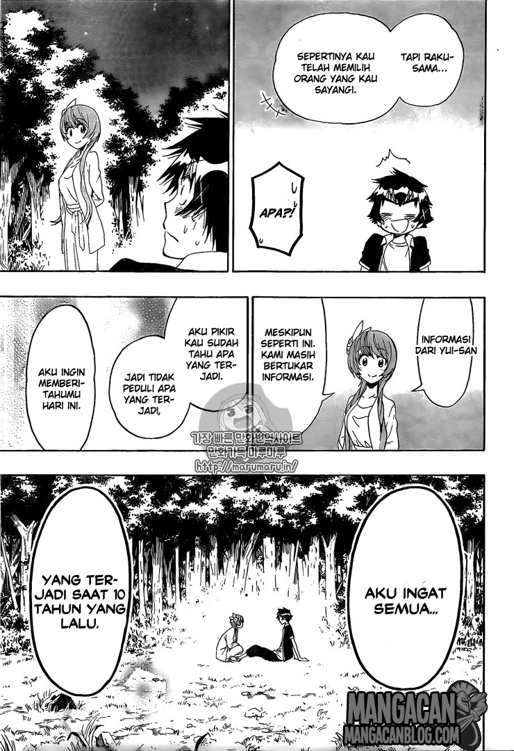 Nisekoi chapter 219 halaman 13
