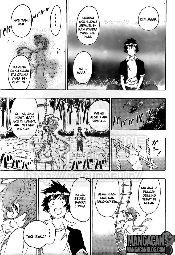 Nisekoi chapter 219 halaman 17