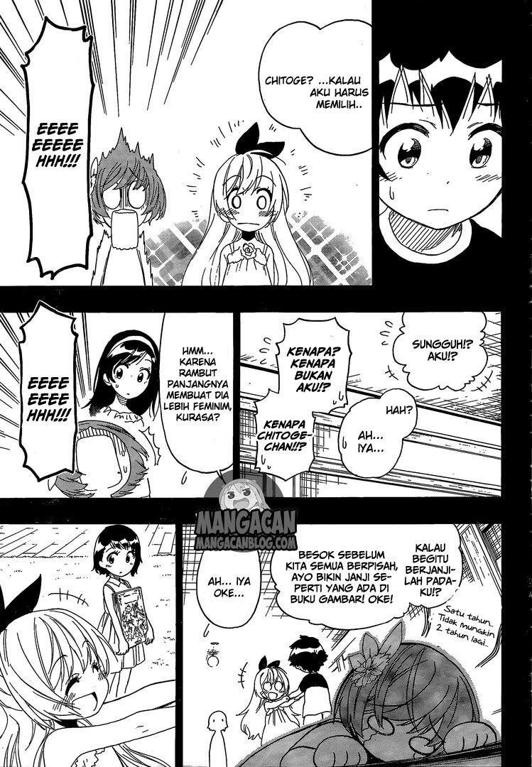 Nisekoi chapter 221 halaman 7
