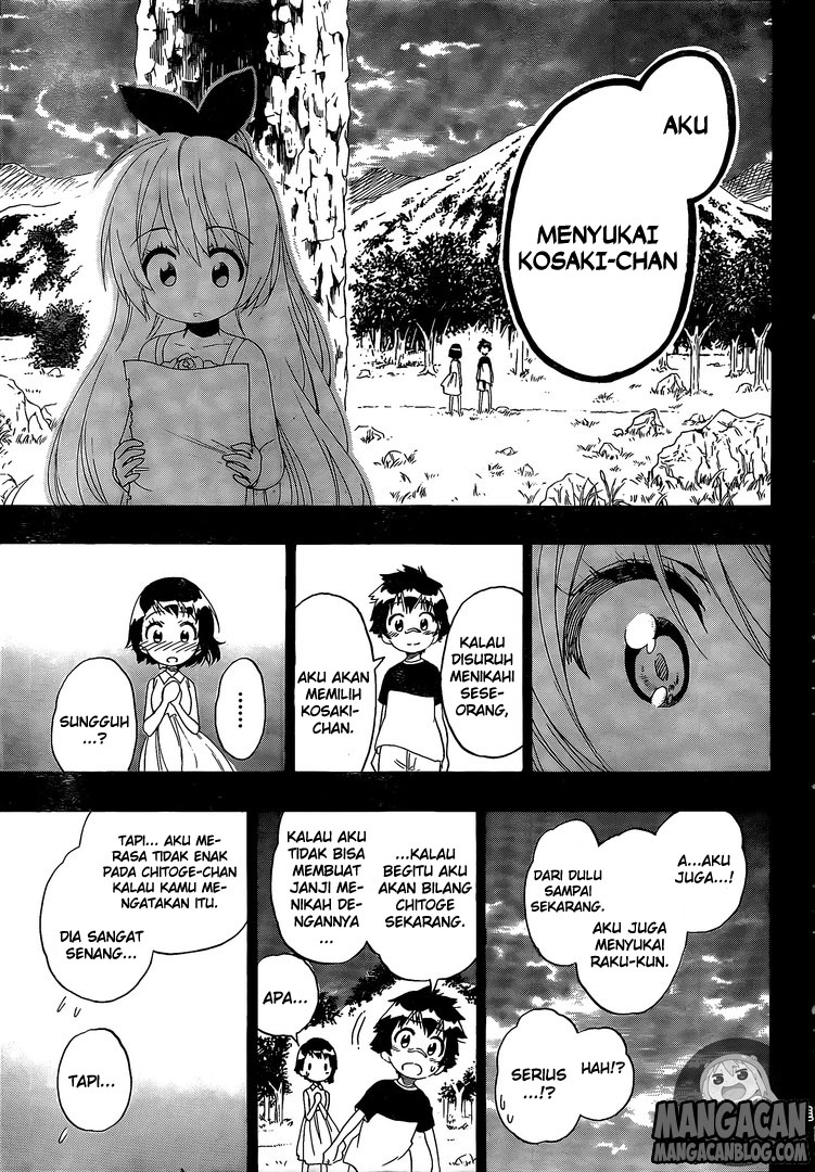 Nisekoi chapter 221 halaman 11