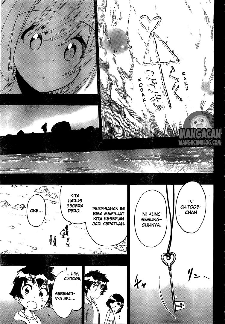Nisekoi chapter 221 halaman 13