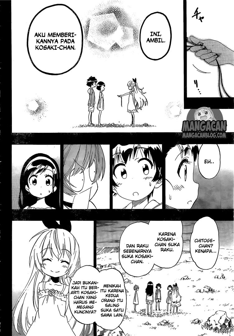 Nisekoi chapter 221 halaman 14