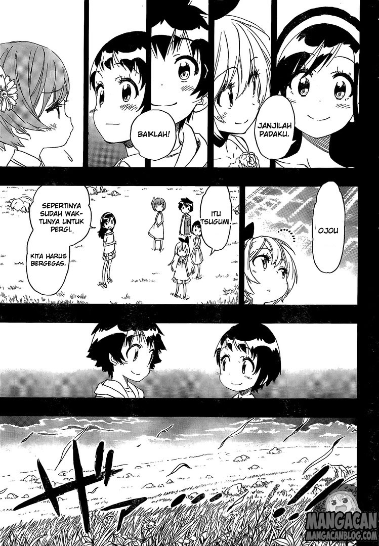 Nisekoi chapter 221 halaman 17