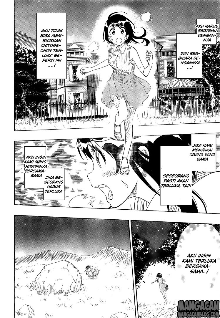 Nisekoi chapter 222 halaman 12