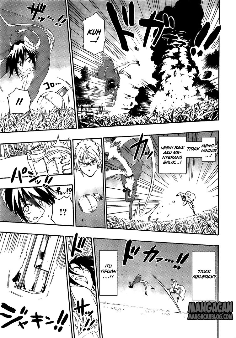Nisekoi chapter 222 halaman 17