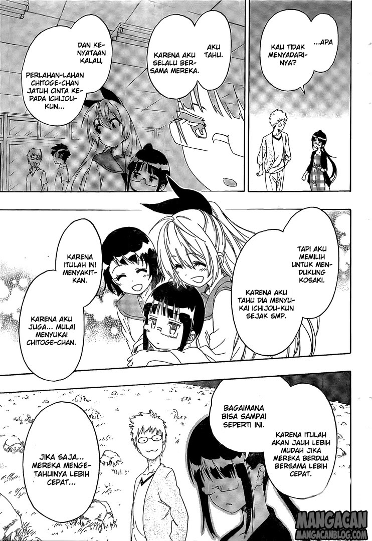 Nisekoi chapter 223 halaman 11