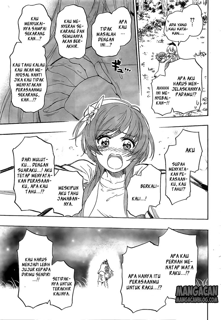 Nisekoi chapter 224 halaman 11