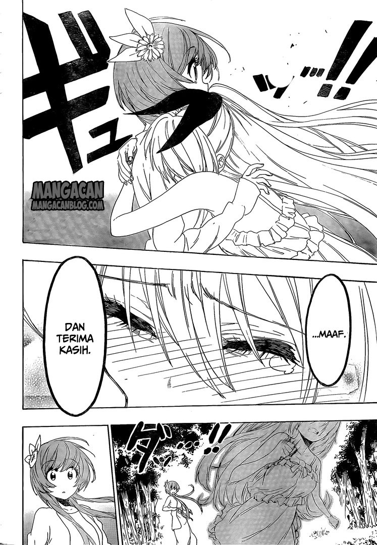 Nisekoi chapter 224 halaman 14