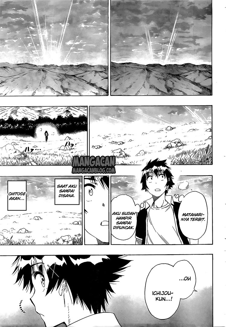 Nisekoi chapter 224 halaman 17