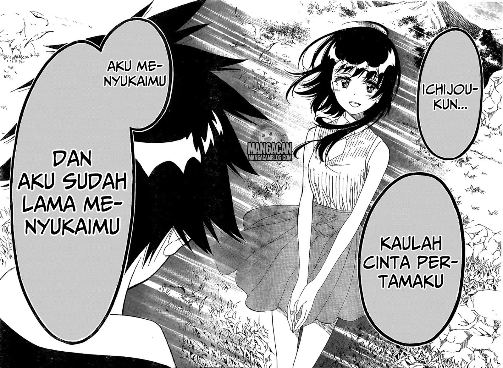Nisekoi Bab 225 halaman 11