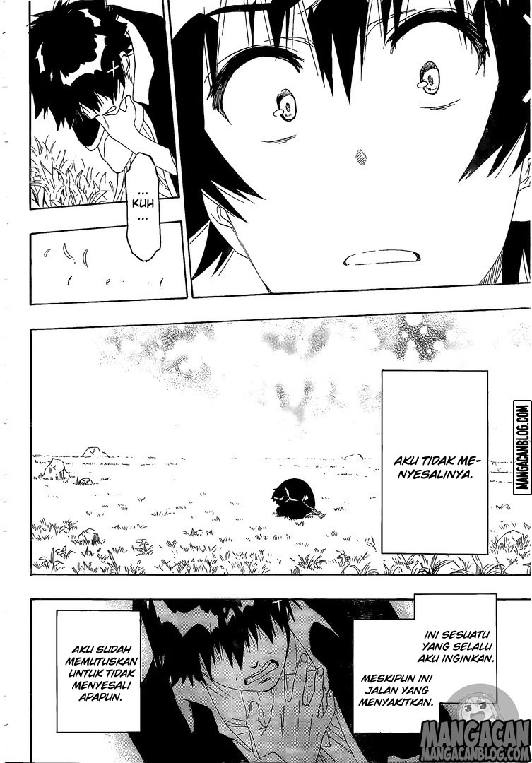 Nisekoi chapter 226 halaman 16