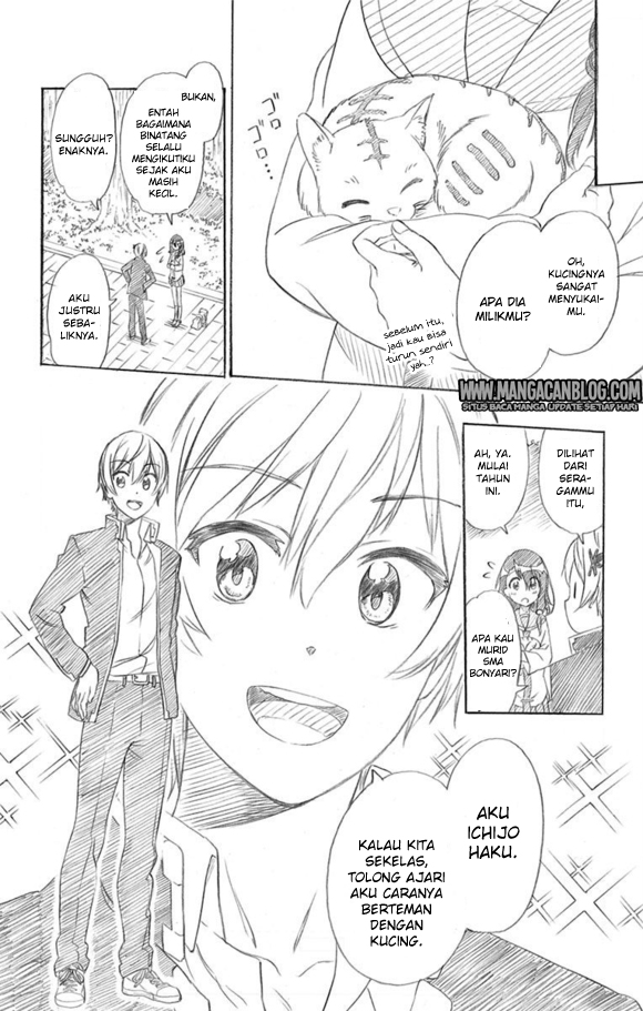 Nisekoi Bab 229.5 halaman 3
