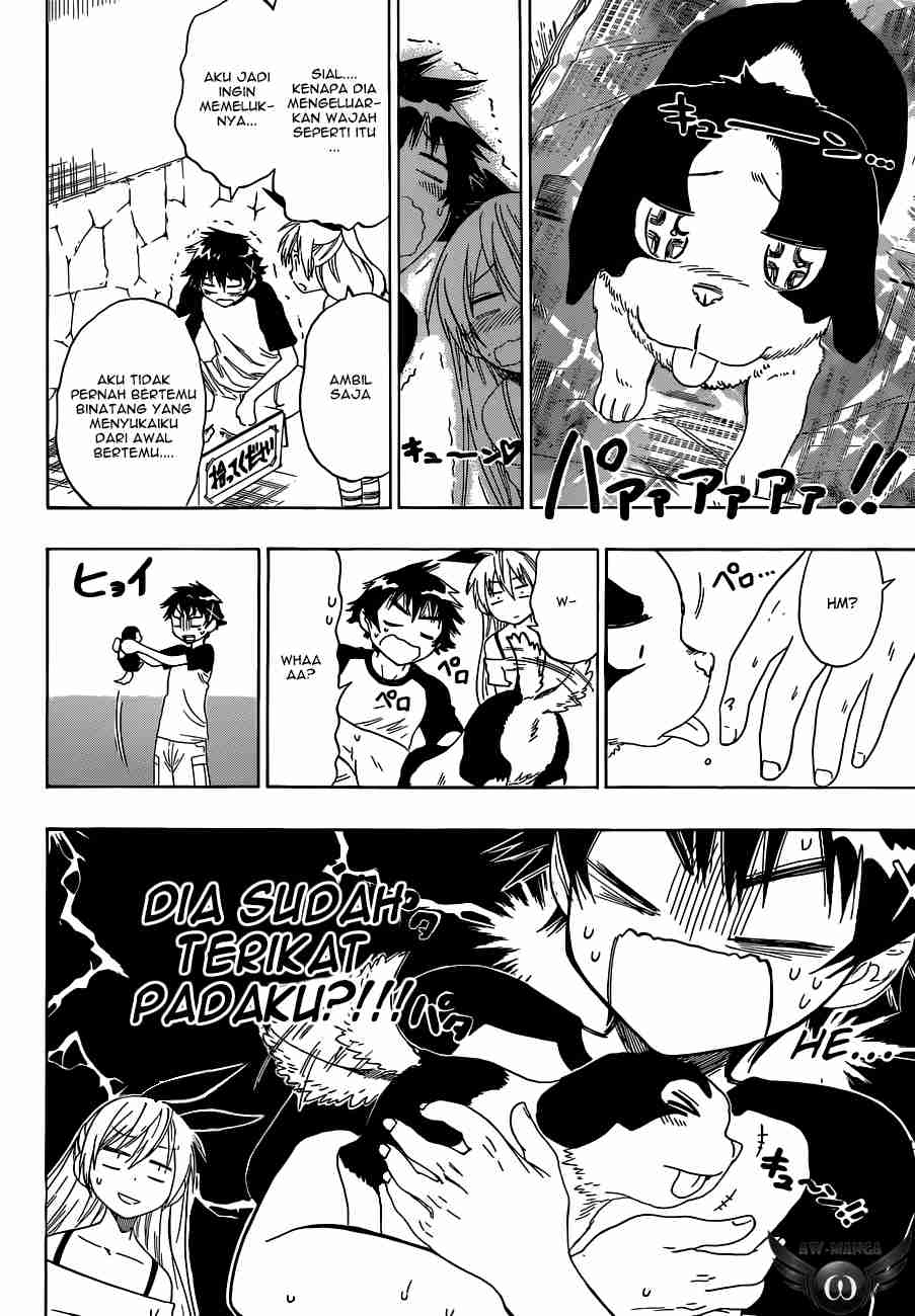 Nisekoi Bab 41 halaman 5