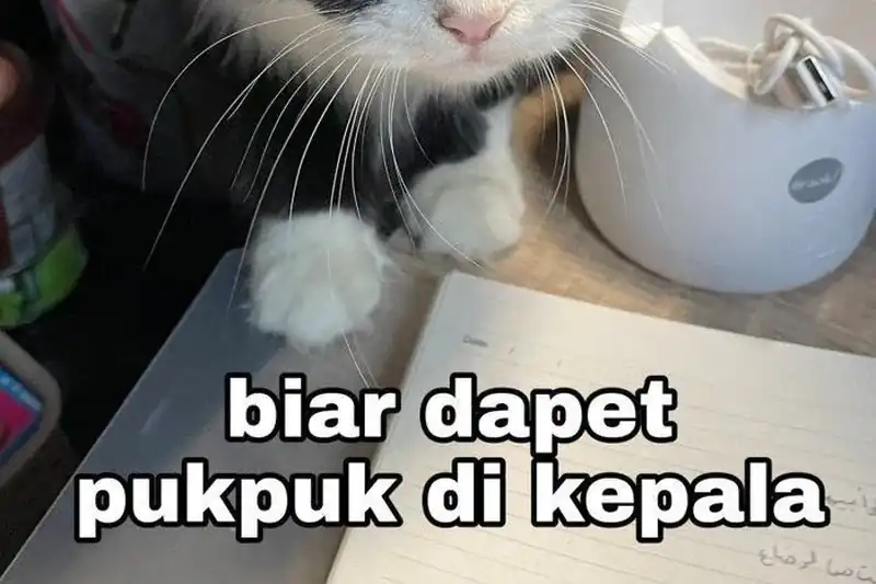Past Life Regressor (Remake 2022) Bab 169 halaman 93