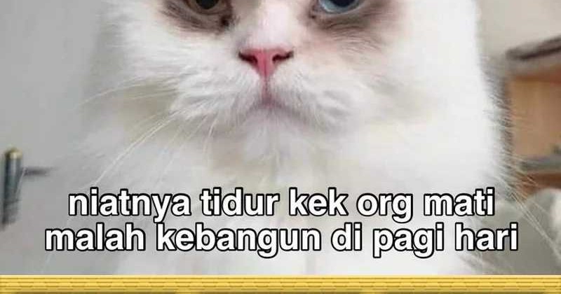 Past Life Regressor Bab 126 halaman 107
