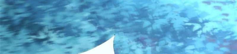 Plundering The Heavens Bab 15 halaman 30