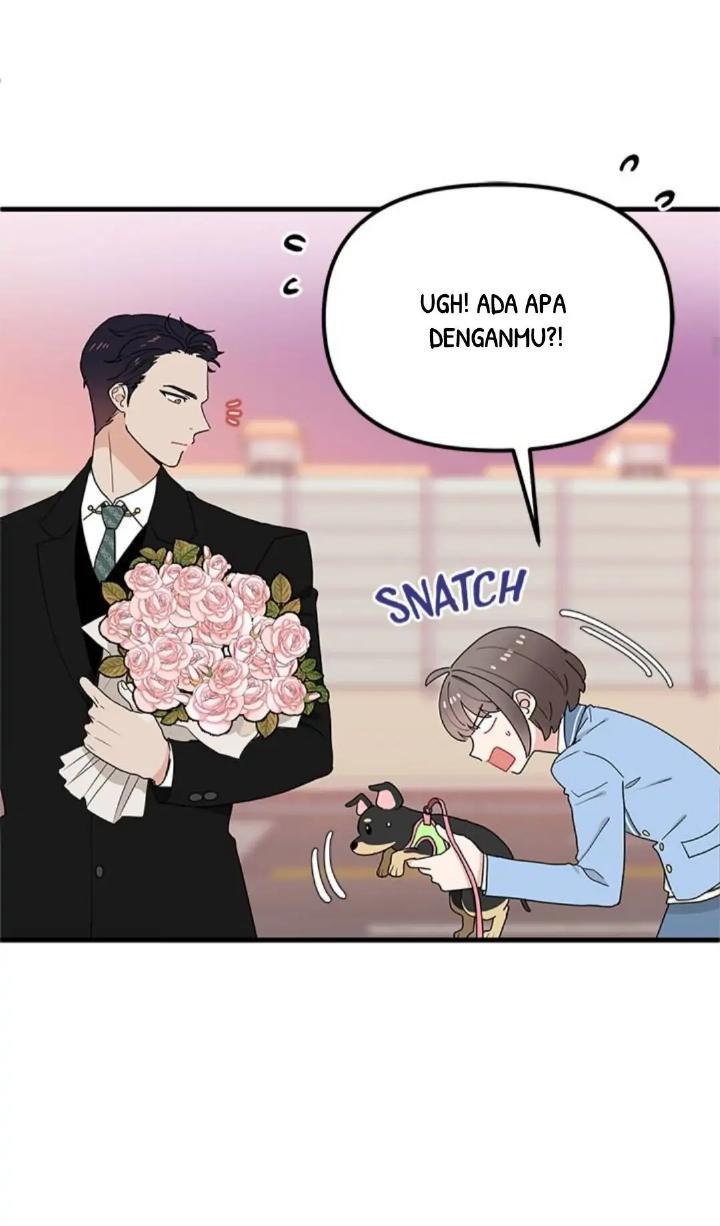 Protect Me, Knight chapter 27 halaman 30
