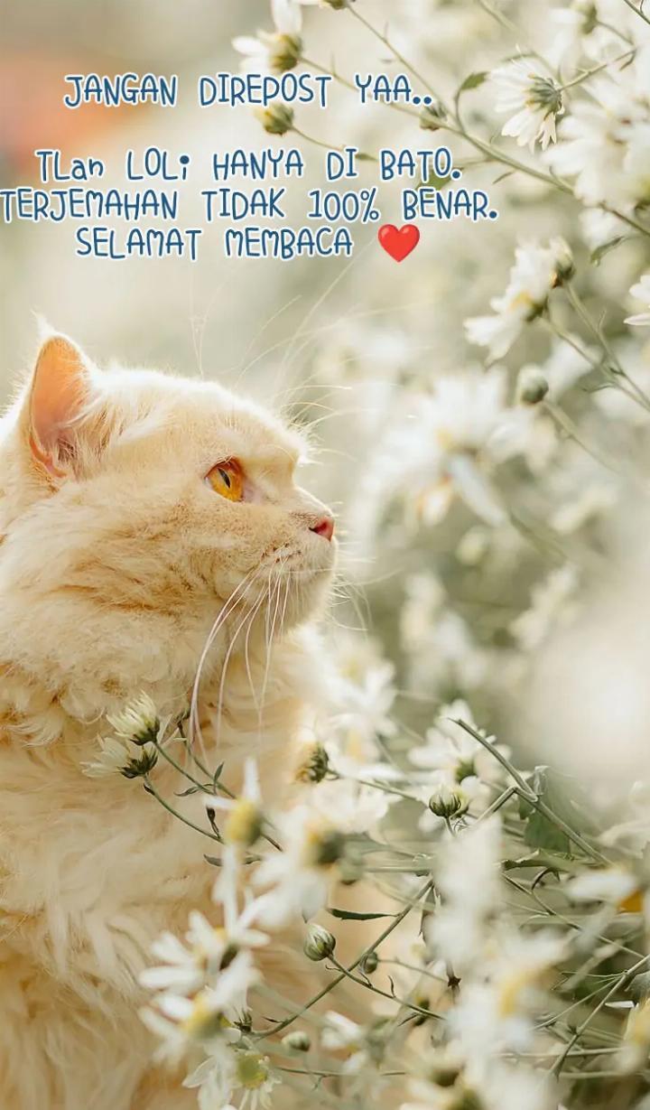 Protect Me, Knight Bab 39 halaman 1