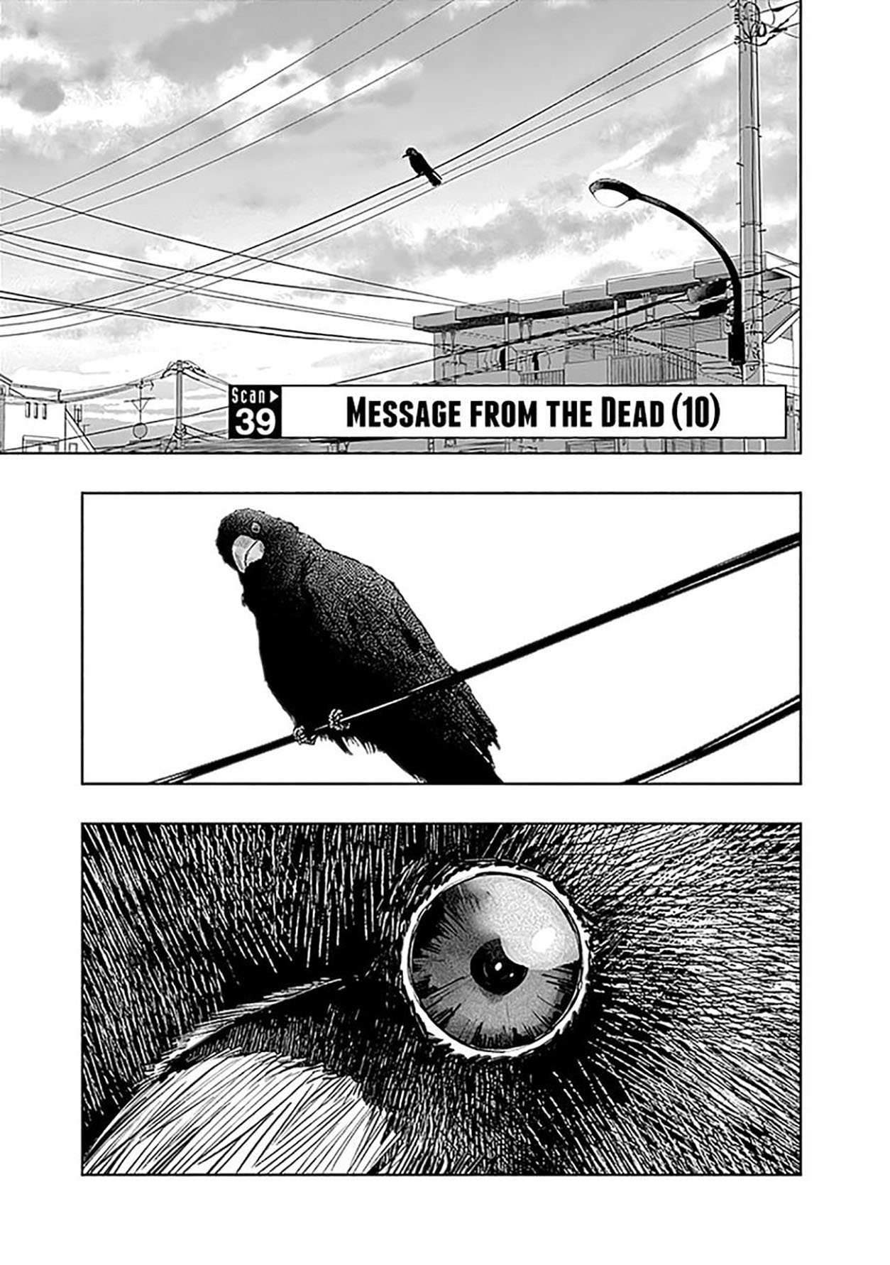 Radiation House chapter 39 halaman 2