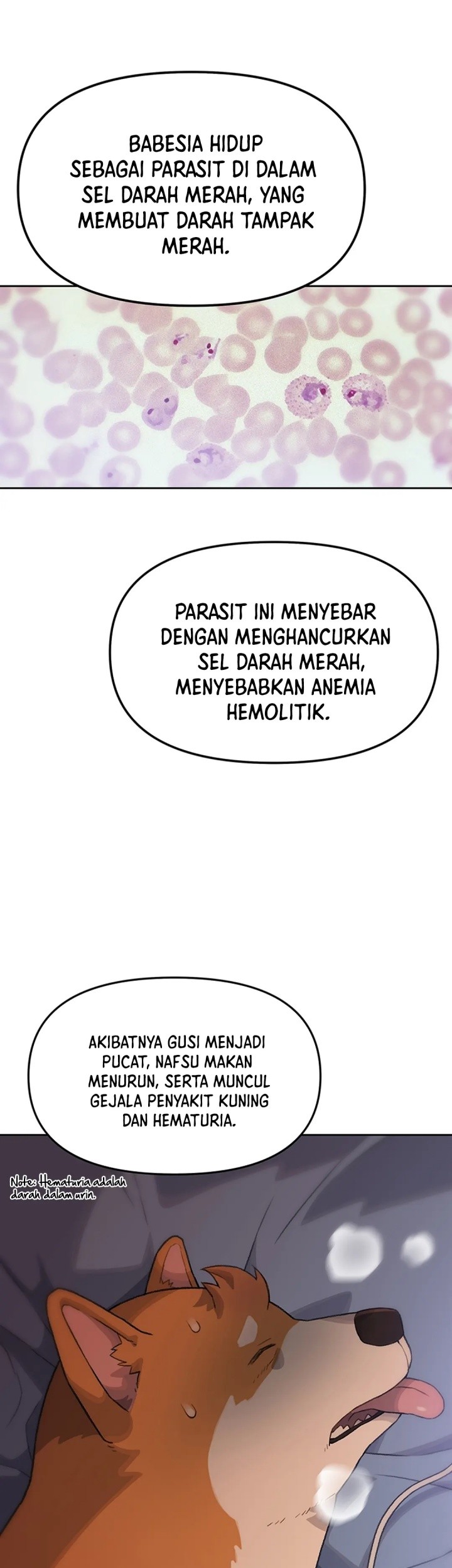 Rainbow Bridge Watchman Bab 11 halaman 6