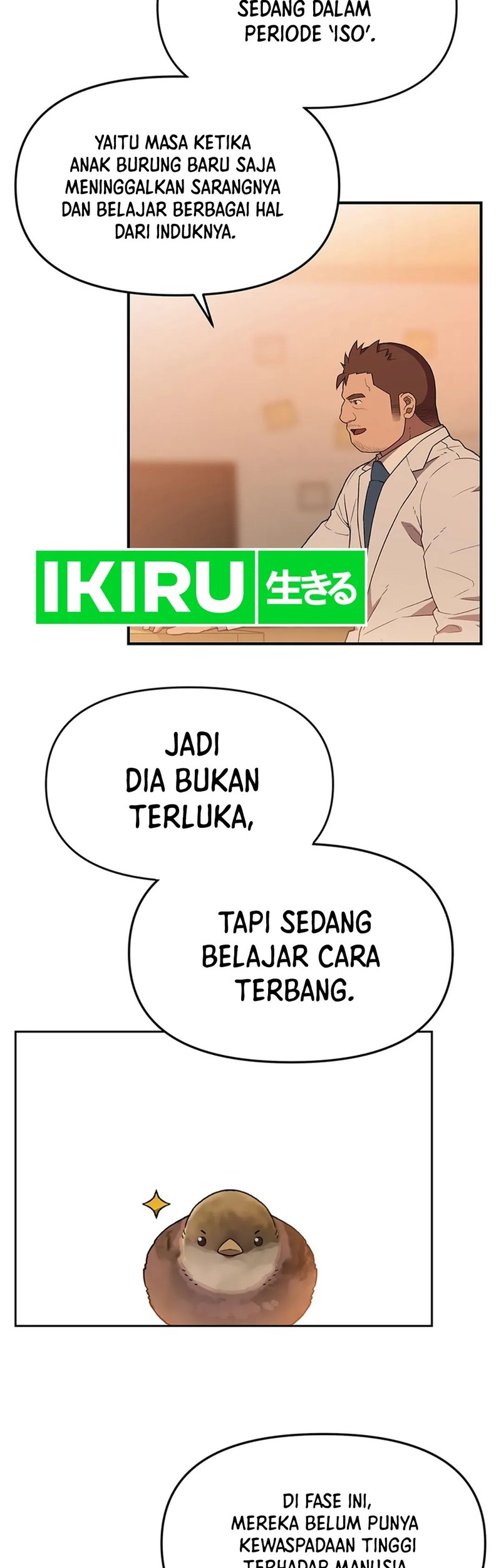 Rainbow Bridge Watchman Bab 117 halaman 10