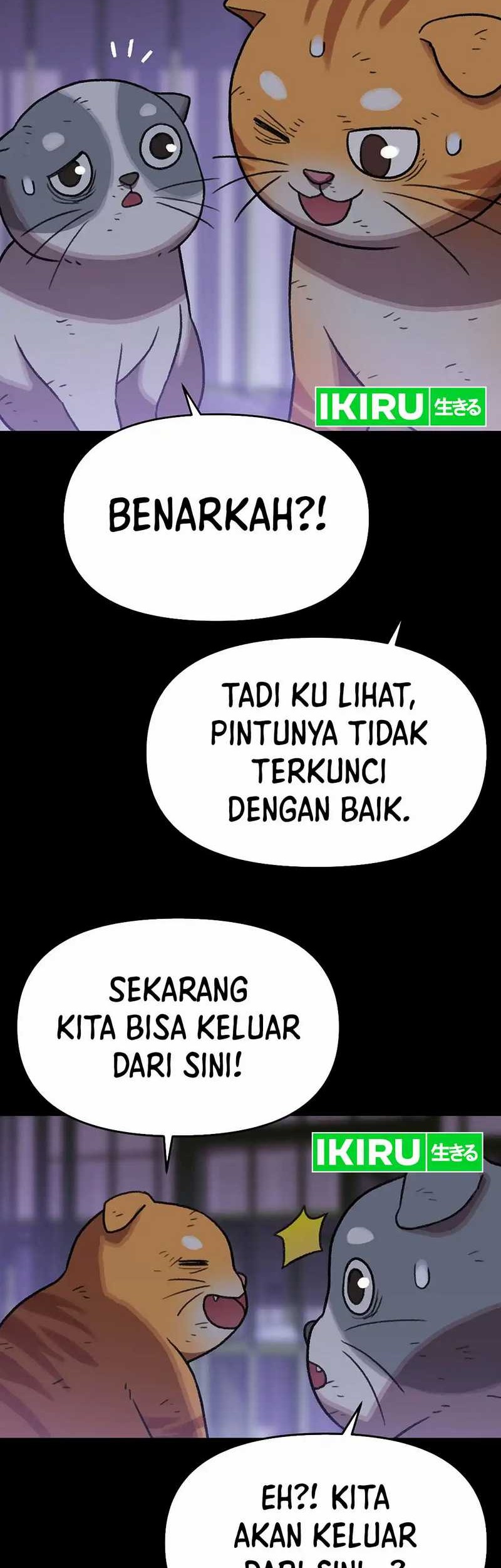 Rainbow Bridge Watchman Bab 137 halaman 28
