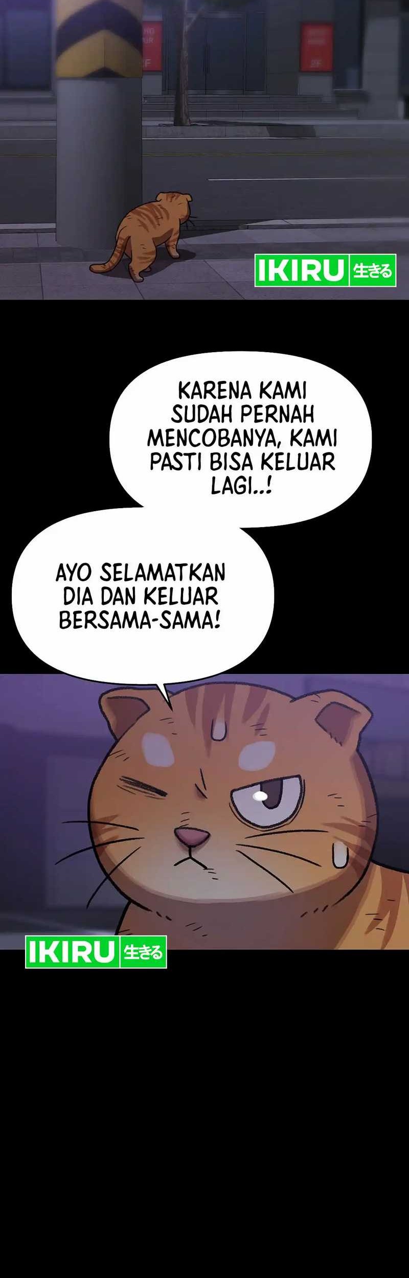 Rainbow Bridge Watchman Bab 138 halaman 33