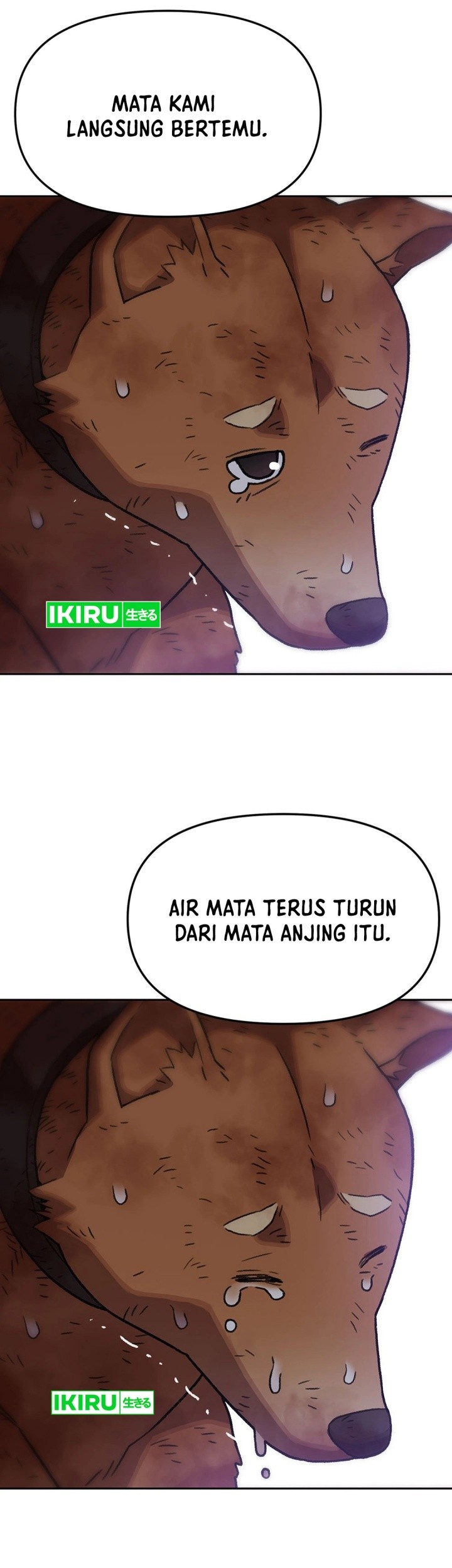 Rainbow Bridge Watchman Bab 145 halaman 32