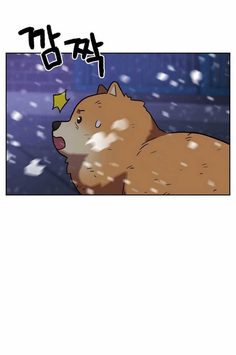 Rainbow Bridge Watchman chapter 158 halaman 40