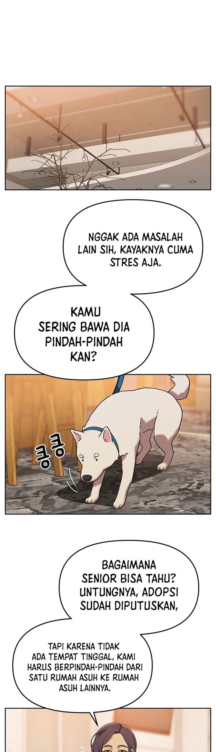 Rainbow Bridge Watchman Bab 166 halaman 41