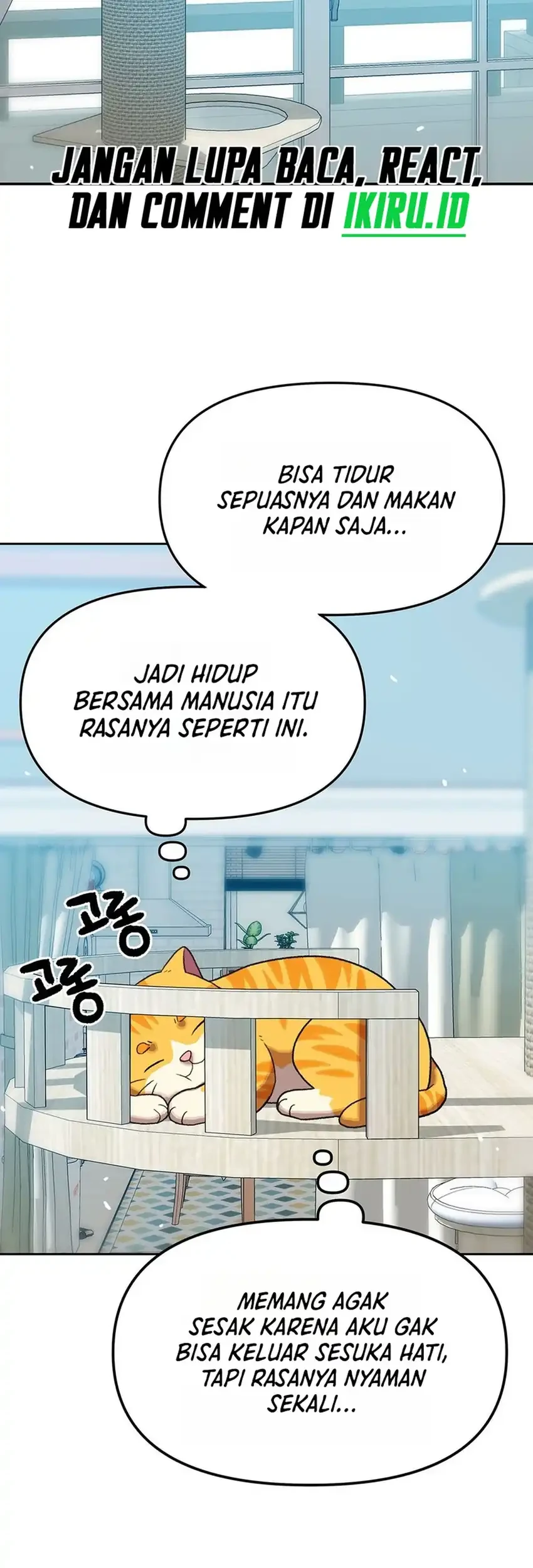 Rainbow Bridge Watchman Bab 191 halaman 17